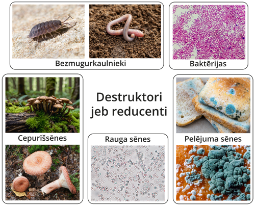 YCUZD_250422_7222_foto_kolažs_9_lab.png