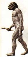 homo_habilis.jpg