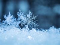 Shutterstock_1614040570_snow_sniegs.jpg