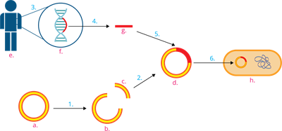 YCUZD_230915_5549_rekombinācija_ar cipariem_3.png