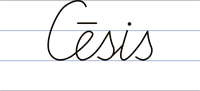 YCUZD_230530_5228_Cesis.png