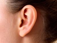 Shutterstock_2377106335_human ear_cilvēka auss.jpg