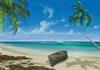 beach.jpg