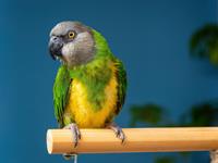 Shutterstock_2145311023.jpg
