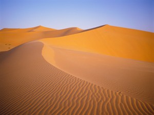 Shutterstock_2428809249_Sand dunes_Smilšu kāpas.jpg