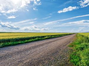 Shutterstock_2408772631_country road_lauku ceļš.jpg