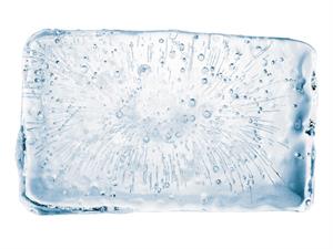 Shutterstock_1916045290_ice_ledus.jpg