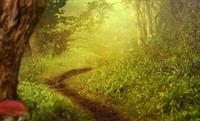 background-image-3778266_1920_trop.jpg