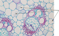 YCUZD_250324_7161_17.png