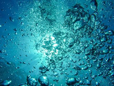 bubbles-g8aa0184d4_1280.jpg
