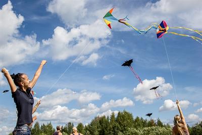 kite-2173917_960_720.jpg