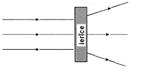 leca.PNG