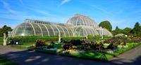 kew_gardens_pix.jpg