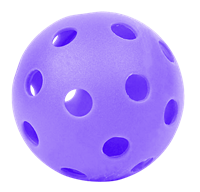 florbola bumbas.png