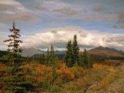 798px-On_the_way_into_Denali_National_Park.jpg