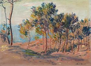207 httpscommons.wikimedia.orgwikiFileMonet_w800_fir_trees_at_varengeville.jpg.jpg