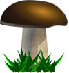sēne.png