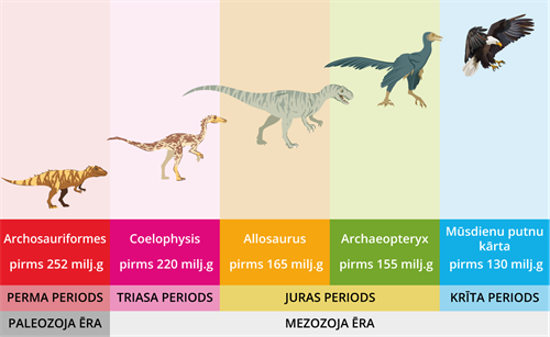 YCUZD_230909_5502_evolucija.png