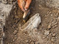 Shutterstock_2026393496_archaeological excavations_arheoloģiskie izrakumi.jpg