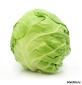 1258473010_telegate_kapusta.png