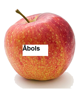 abols.PNG