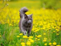 Shutterstock_1872017101.jpg
