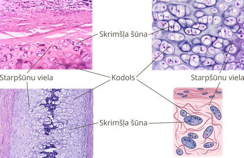 YCUZD_250325_7160_23.png