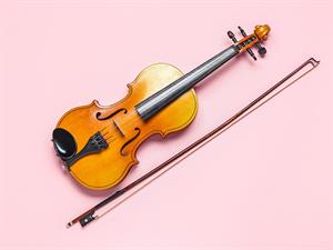 shutterstock_2375549921_violin_vijole.jpg