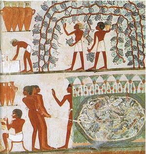 EgyptDietBeer.jpg