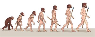 Human-Evolution-Illustration-Usagi-Ps-e1572939055189.jpg