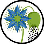 YCUZD_250117_7026_raksts_2.png