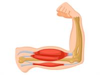 shutterstock_2063446469.jpg