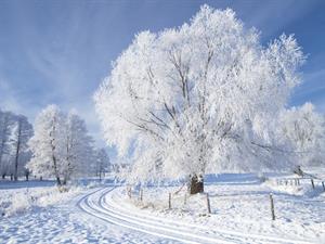 shutterstock_64047193.jpg