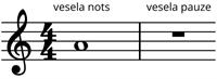 ILZE_250502_vesela_nots_vesela_pauze_1.png