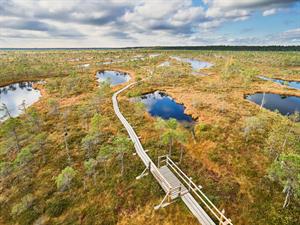 Shutterstock_1856063557_Kemeri swamp_Ķemeru purvs.jpg