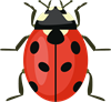 9.png