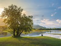 Shutterstock_2152077767_lake_ezers.jpg