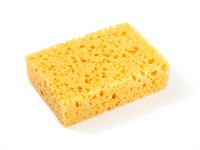 shutterstock_1813430068_yellow sponge_dzeltens sūklis.jpg