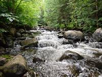 Shutterstock_565031452_river in Canada_upe Kanādā.jpg