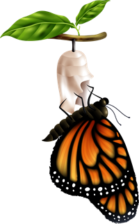 taurenis2.png