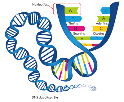 YCUZD_250328_7179_bio_2.png