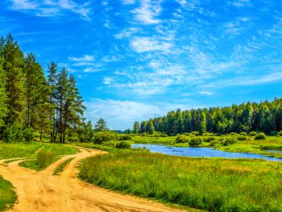 shutterstock_1711600924 summer.jpg