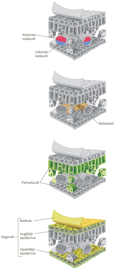 YCUZD_250403_7159_20.png