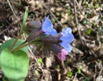 DSC07666.JPG