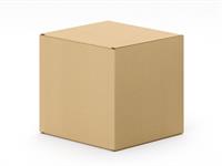 Shutterstock_2490273635_cardboard box_kartona kaste.jpg