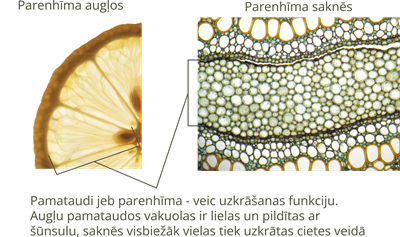 YCUZD_250323_7159_22.png