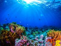 shutterstock_1044142510.jpg