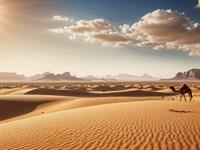 Shutterstock_2484205491_desert_tuksnesis.jpg