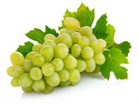 Shutterstock_54845650_grapes_vīnogas.jpg