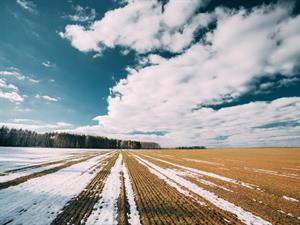 Shutterstock_2108603885_spring 5_pavasaris 5.jpg